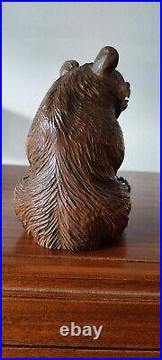 Antique large Hand Carved Black Forest Bear 19 Century Quality Work Of Art Bear