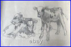 David Gauld (1865-1935) Fine Large 19th Century Scottish Drawing Young Calves