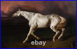 Large 19th Century English Wounded White war Horse JAMES WARD (1769-1859)