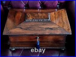 Large Antique Regency Rosewood Sarcophagus Caddy, 19th Century Storage Box
