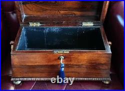 Large Antique Regency Rosewood Sarcophagus Caddy, 19th Century Storage Box