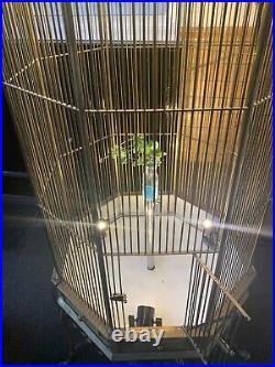 Large late 19th/early 20th century French brass bird cage converted with Lights